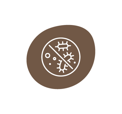 Exerts Antifungal Activity