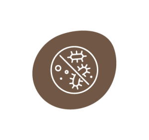 Exerts Antifungal Activity